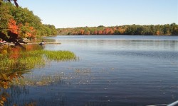 Looking North, Pemaquid Lake is 7 miles long.jpg